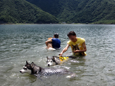 水が怖いトリュフ