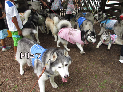 オフ会