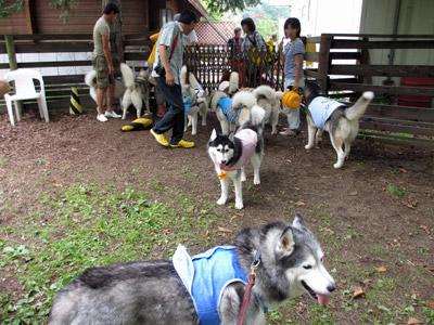 オフ会