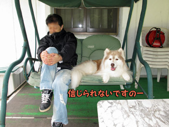 アルちゃん