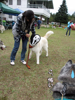 恐怖のクルぽん