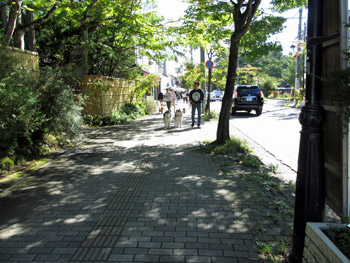 お散歩