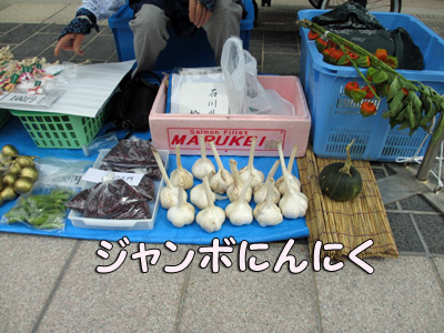 おばけニンニク