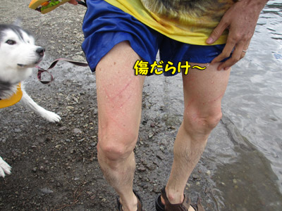 ポトフ