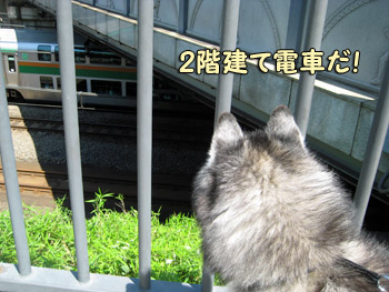電車観察