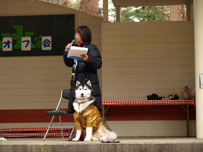 司会犬ぽとふ