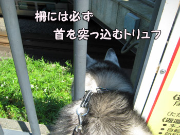 電車観察