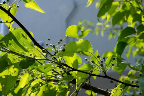 ええとこ守山下見20130506-3