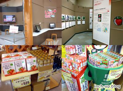 いちご情報館+土産