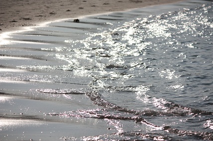 IMG_7960.jpg