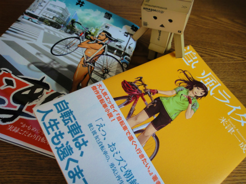 いつも向かい風ライダー、自転車本読書 あと3km -more than 3 km-