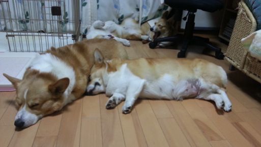 20130416_192941.jpg