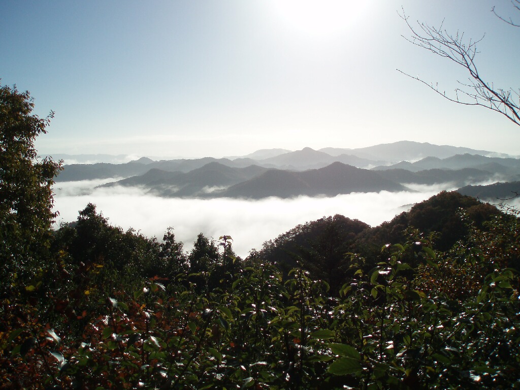 気ままにおサル日記 兵庫県三田市の山歩き 雲海