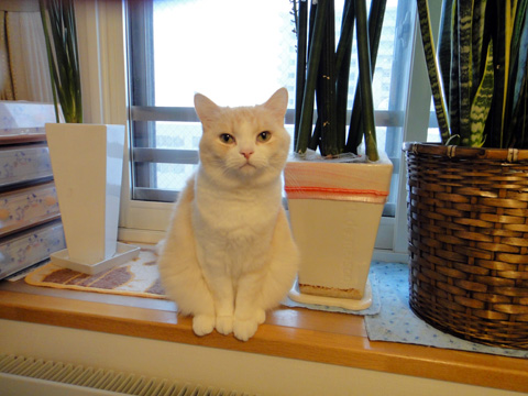 20130101-1.jpg