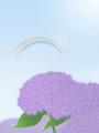 水無月の紫陽花