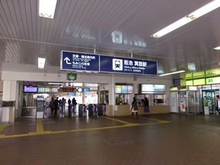 225-312.jpg