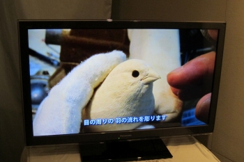 フ0258 - コピー