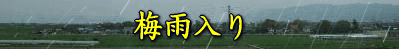 tsuyuiri-logo.gif