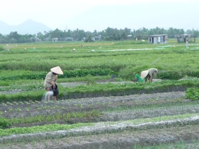 ベトナムの農村風景