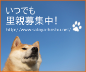 sonota113.png