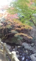 20141116_121632.jpg