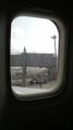 P1000010.jpg