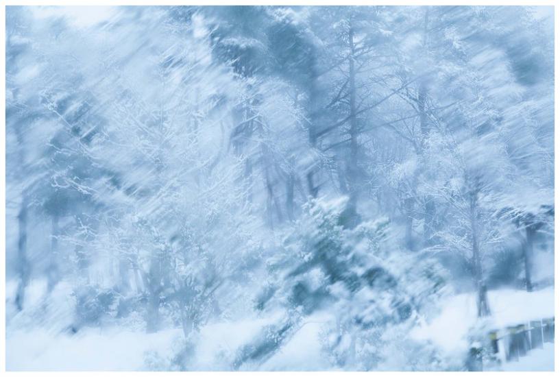 雪の中で焦る、心象風景