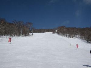 IMG_0627 s