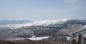 IMG_0667 s