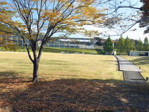 20141026009-2.jpg