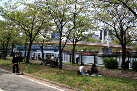 IMG_6763.jpg