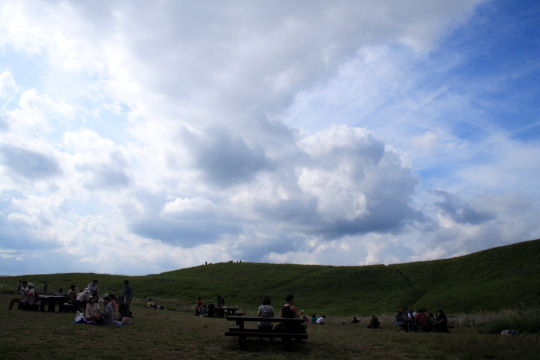 IMG_8391.jpg