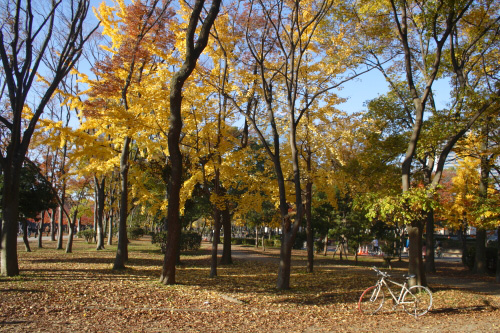 IMG_8786.jpg