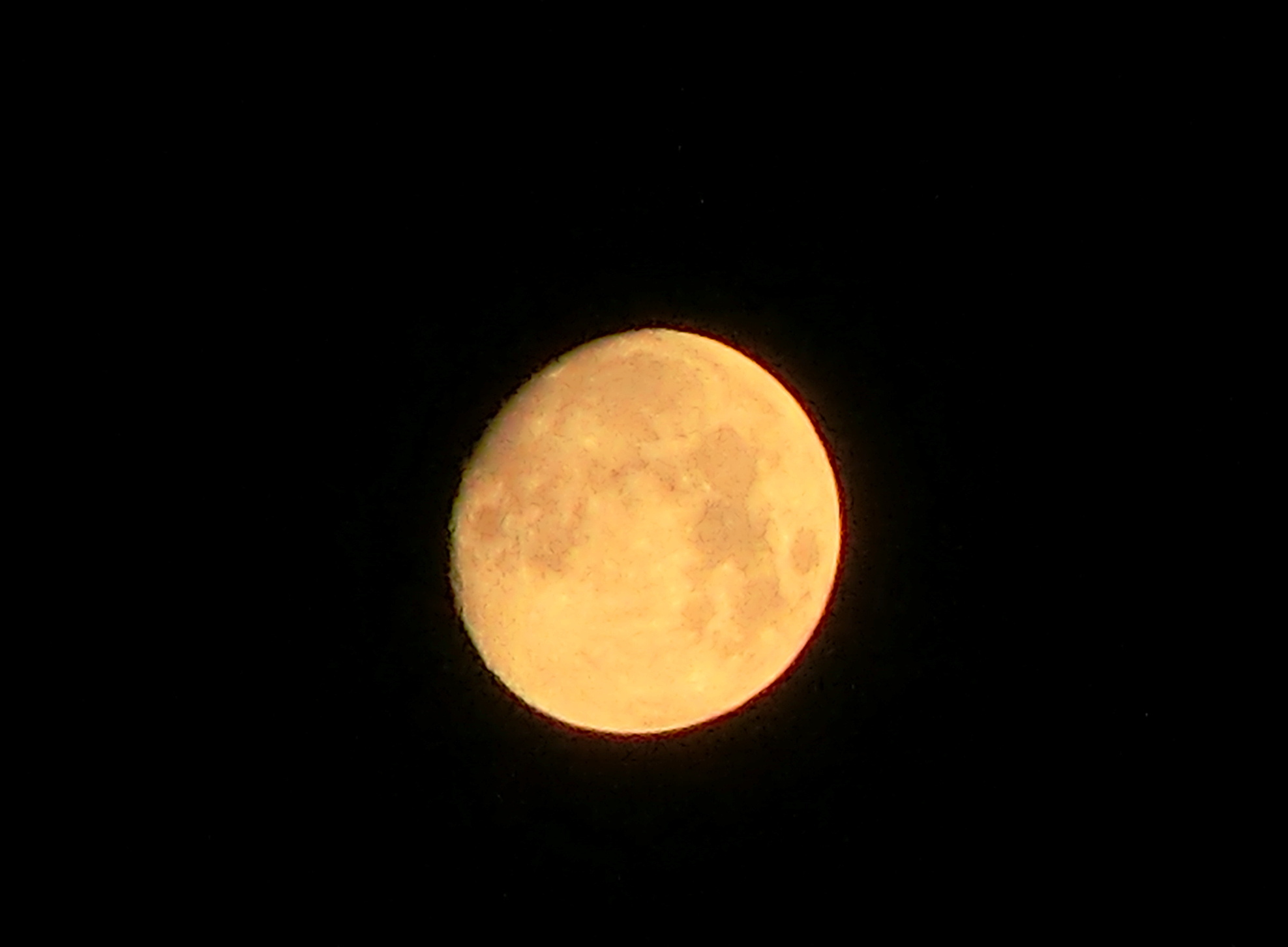 CIMG0555.jpg