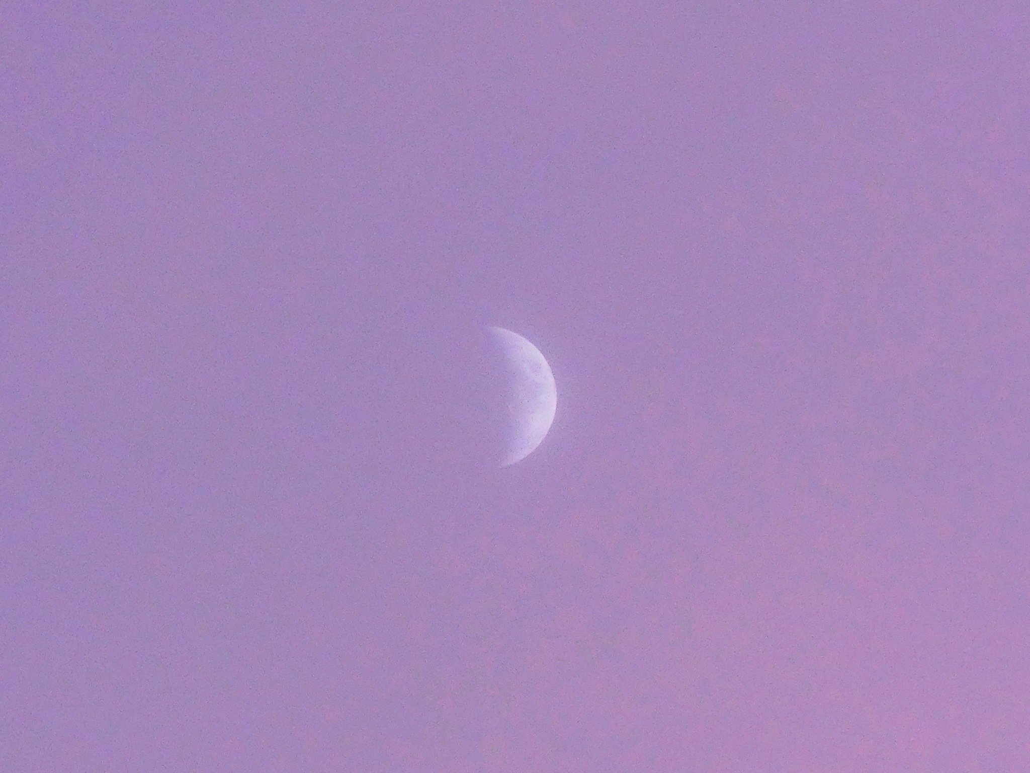 CIMG0787.jpg