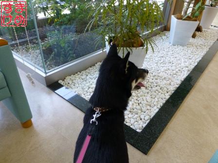 7月27日病院