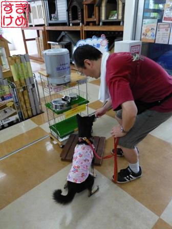 病院アミーゴ6