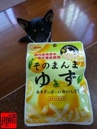 ライオン菓子ゆず1
