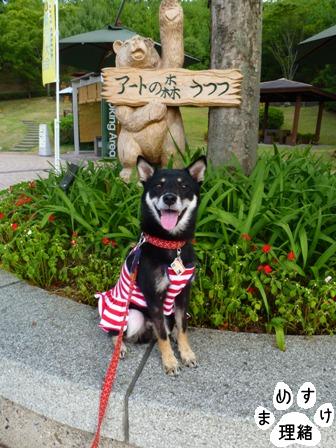 信州9