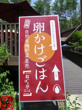 信州旅行29