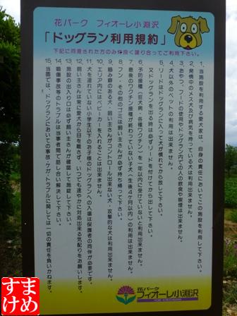 4日目信州旅行13