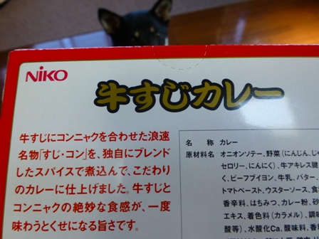 牛すじカレー2