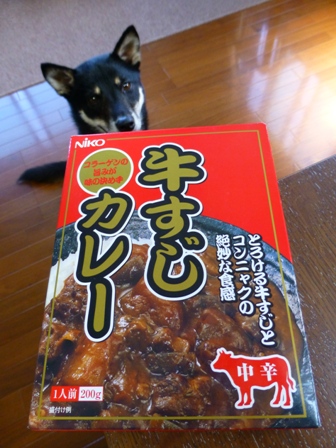 牛すじカレー1