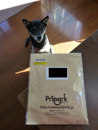 まめすけ名刺3