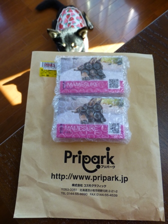まめすけ名刺4