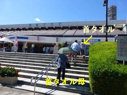 お墓参り4