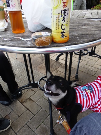 お墓参り1