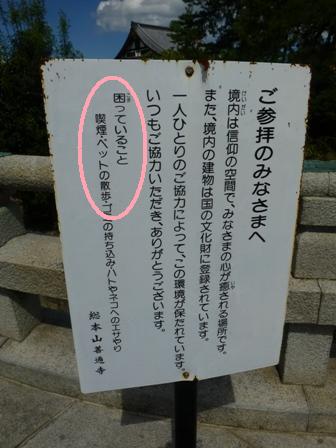 お墓参り10