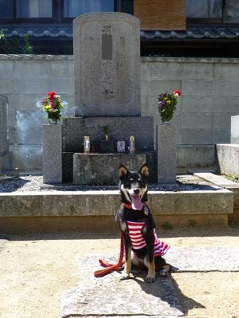 お墓参り18