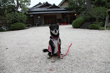 大正館2